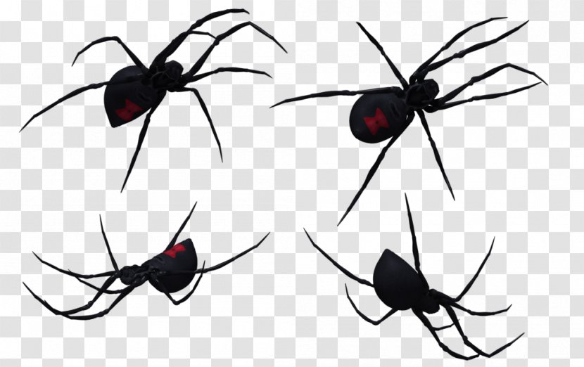 Widow Spiders Clip Art - Spider - Black Transparent PNG