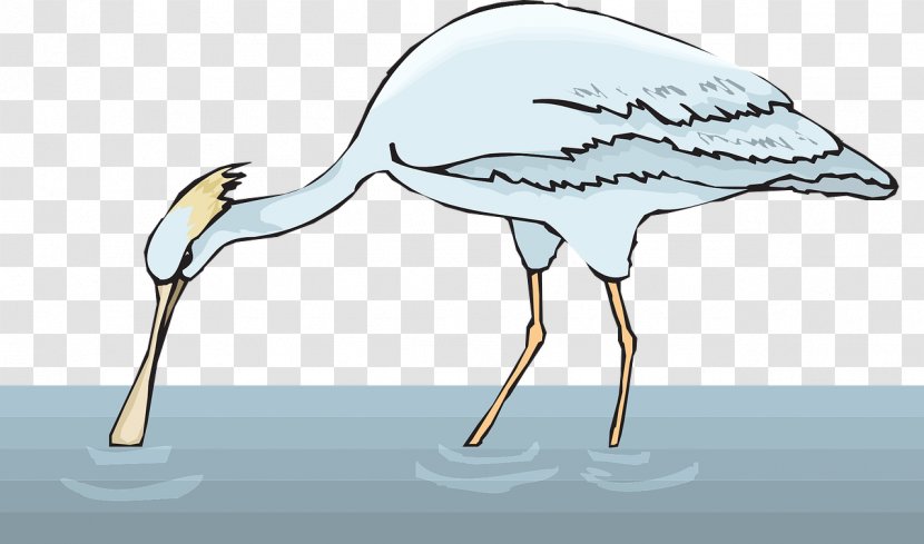 Bird Spoonbill Clip Art - Stork - Water Transparent PNG