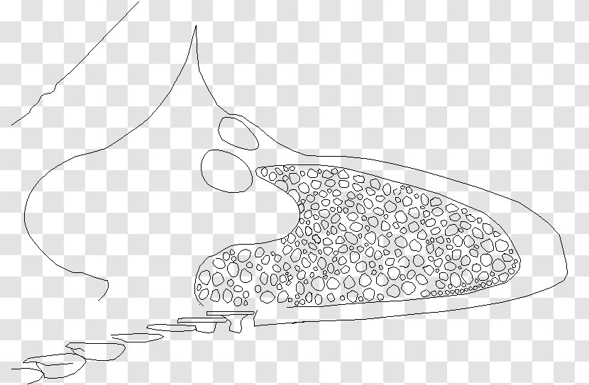 Drawing Black And White Shoe /m/02csf - Fish - Paint Smudge Transparent PNG