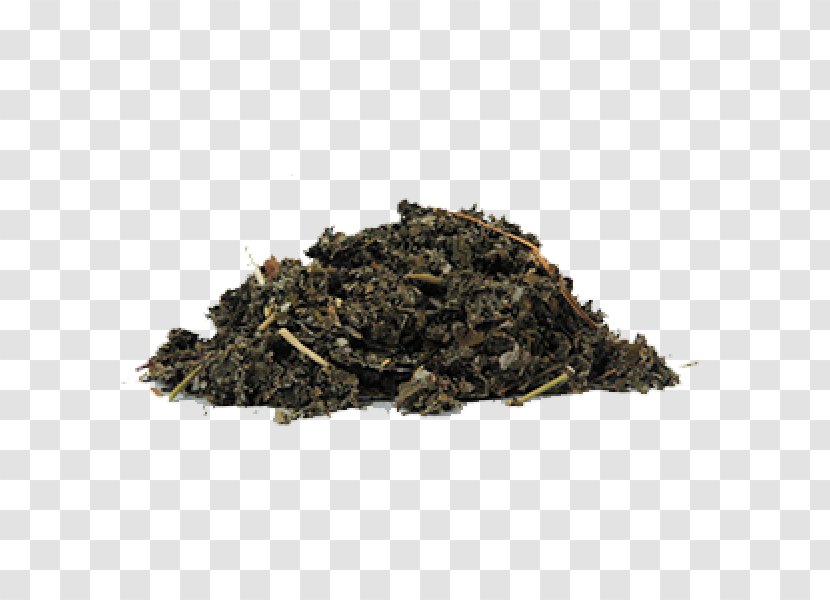 Soil Green Tea Chun Mee Compost - Nilgiri - Dry Parsley Herb Transparent PNG