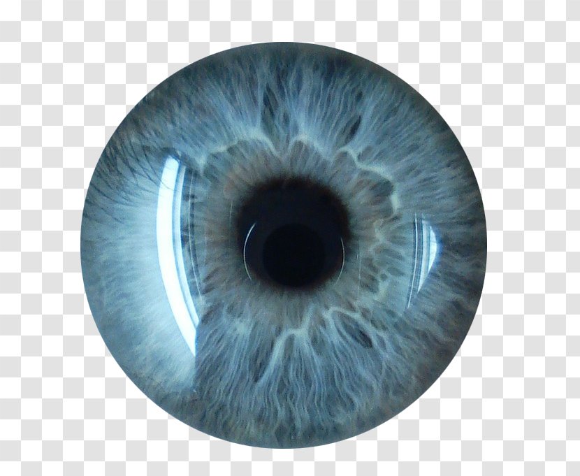 Eye Blue - Cartoon - Eyes Collection Transparent PNG
