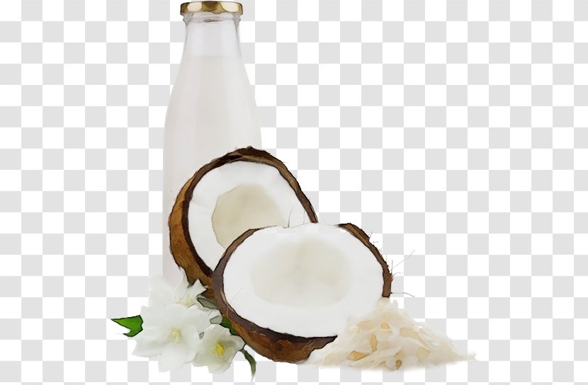 Dairy Food Plant Coconut Milk Drink - Ingredient Transparent PNG