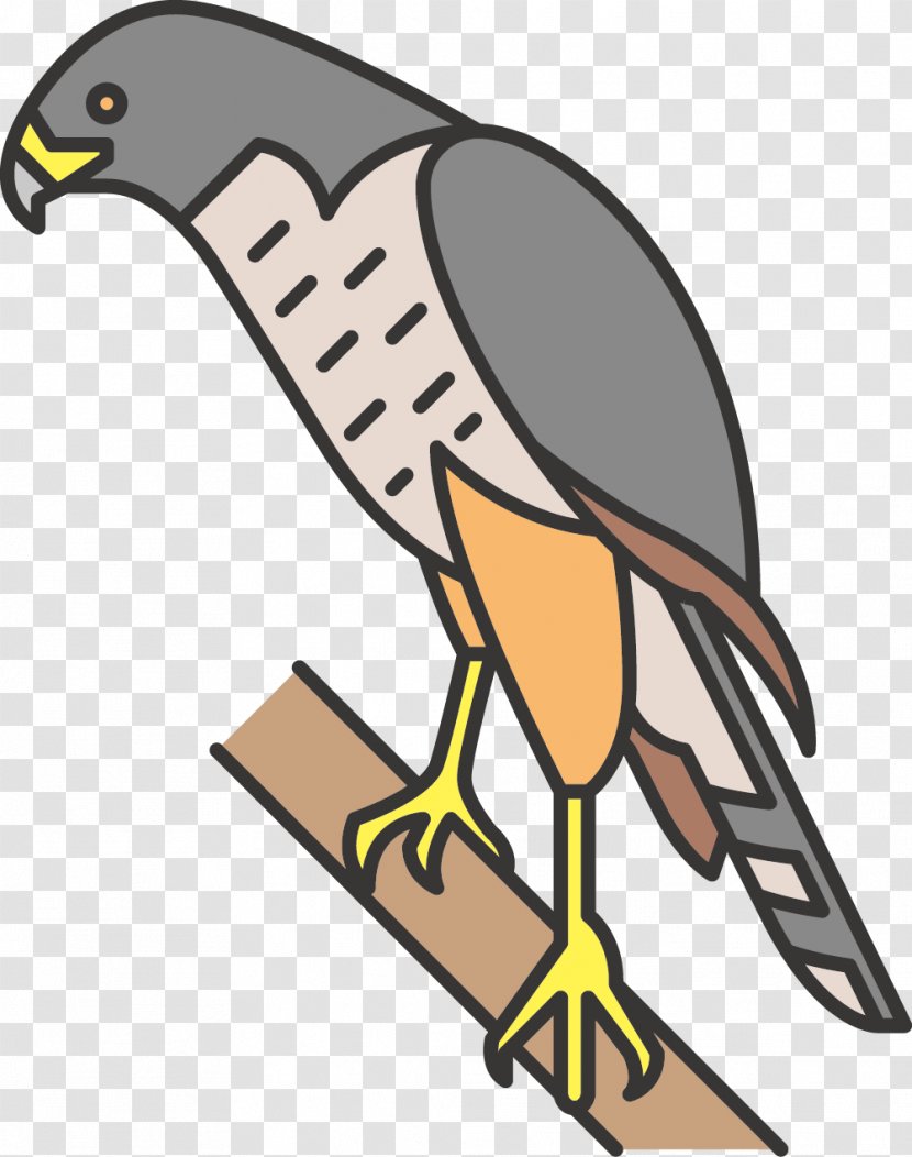 Beak Bird Of Prey Clip Art - Yellow - Eagle Transparent PNG