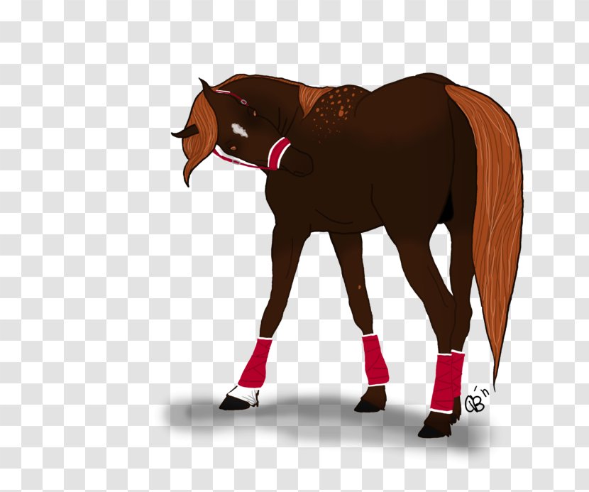 Horse Foal Stallion Pony Mare - Supplies - Arrival Transparent PNG