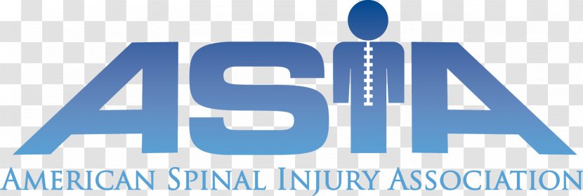 Spinal Cord Injury American Association Vertebral Column - Back Pain - The United States Joint Transparent PNG