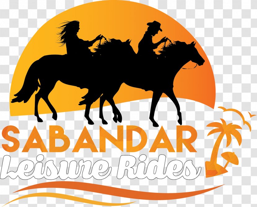 Cowboy Town Sabandar Tuaran Mustang Equestrian Pack Animal - Blog - Horseback Riding Transparent PNG