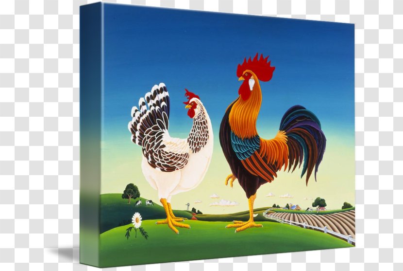 Rooster Chicken Galliformes Hen Painting - Drawing Transparent PNG
