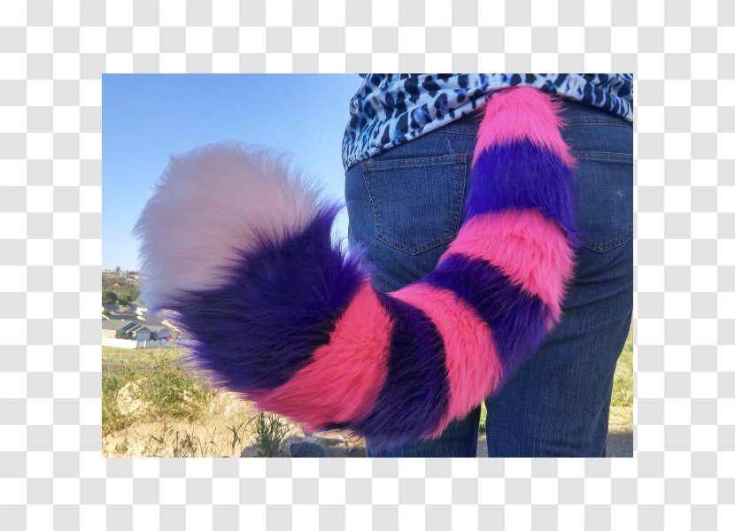 Fur Tail Pink Cat Cheshire Maine Coon - Hair - Ear Transparent PNG