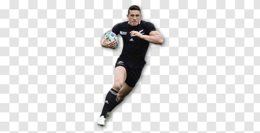 Lions Rugby Union Team Sport Transparent PNG