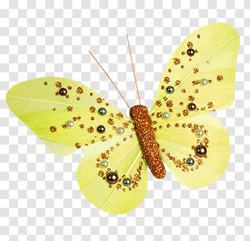 Butterfly Pieridae Image Clip Art - Yellow Transparent PNG