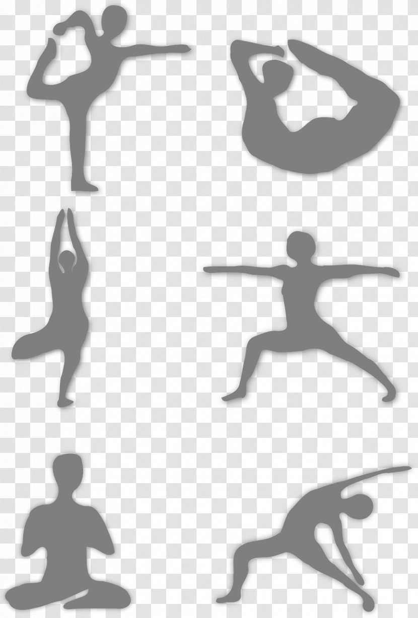 Yoga Health Physical Exercise Fitness Stretching Transparent PNG