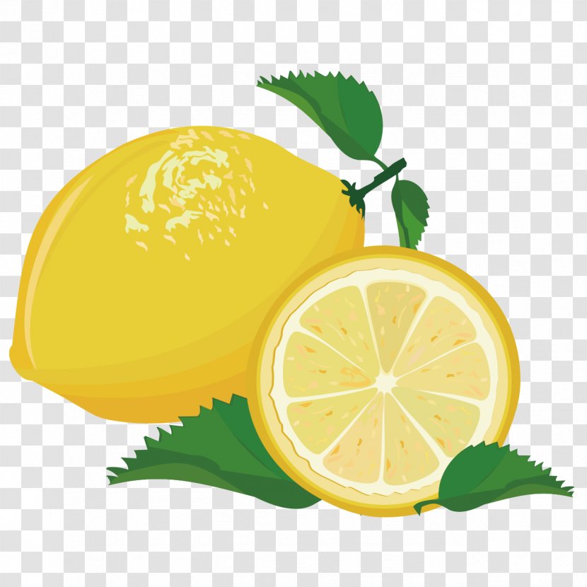 Lemon Lime Orange - Citric Acid - Fruit Transparent PNG
