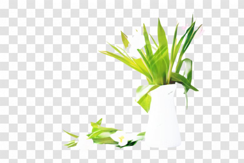 Lily Flower Cartoon - Flora - Of The Valley Herb Transparent PNG