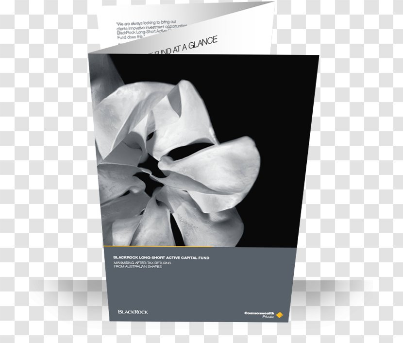 Commonwealth Bank Graphic Design Grifgraf - Black And White Transparent PNG