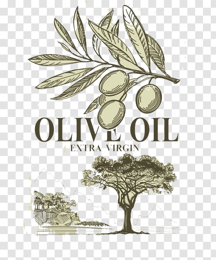 Olive Oil Italian Cuisine - Produce - Hand-painted Olives Transparent PNG