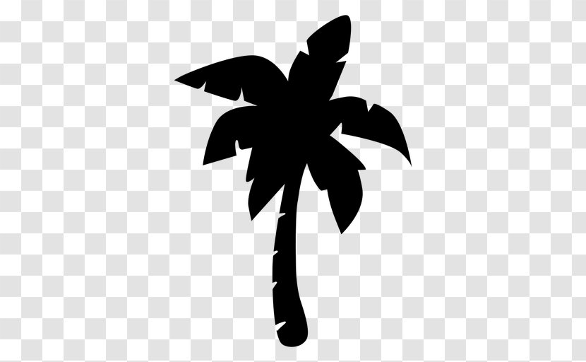 Arecaceae Coconut Tree - Flower Transparent PNG