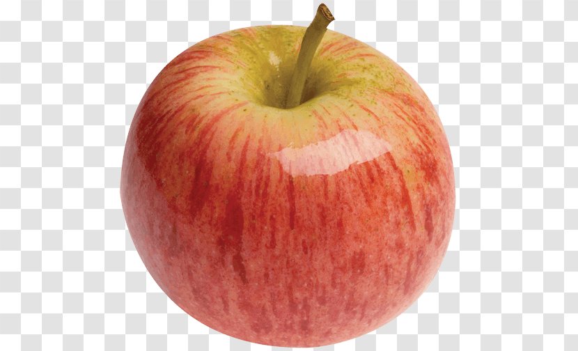 Apple Fruit Gala Organic Food - Picking Transparent PNG