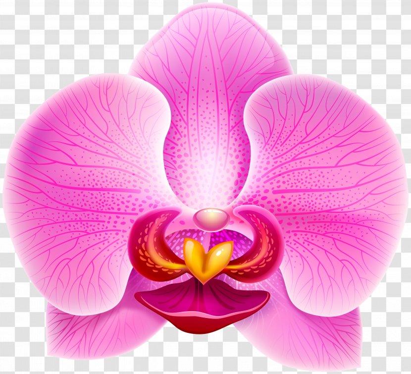 Moth Orchids Clip Art - Close Up - Purple Orchid Transparent PNG