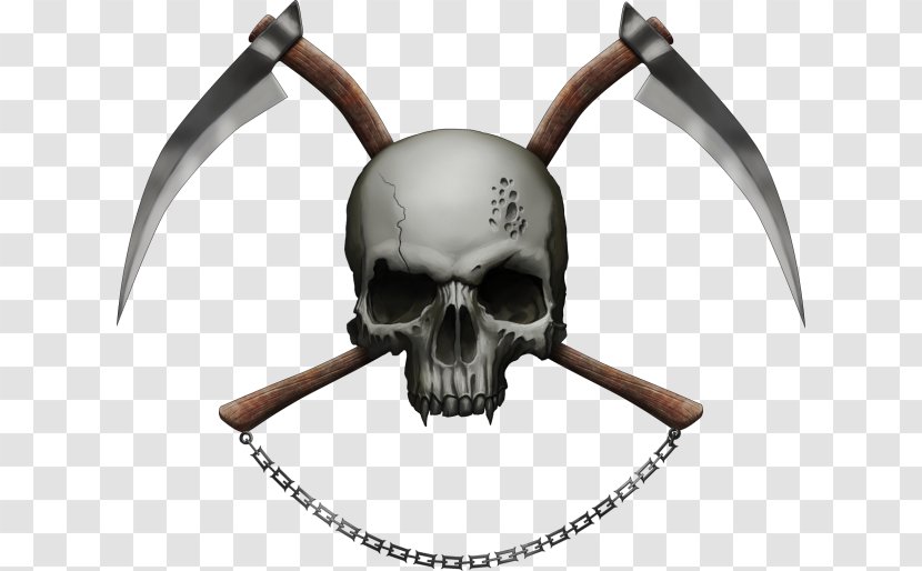 Skull - Bone Transparent PNG