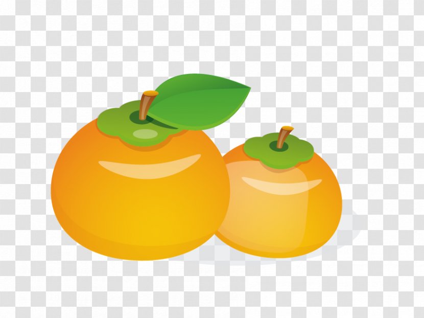 Clementine Euclidean Vector Tangerine - Fruit - Persimmon Transparent PNG