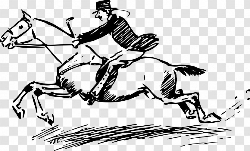 Horse Racing And 'chasing: A Collection Of Sporting Stories Clip Art - Vertebrate Transparent PNG