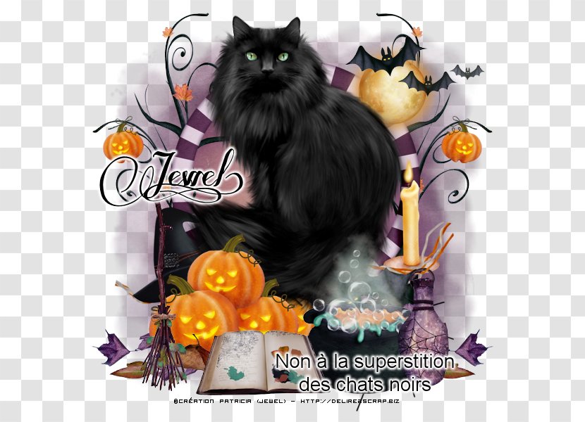 Whiskers Kitten Black Cat Transparent PNG