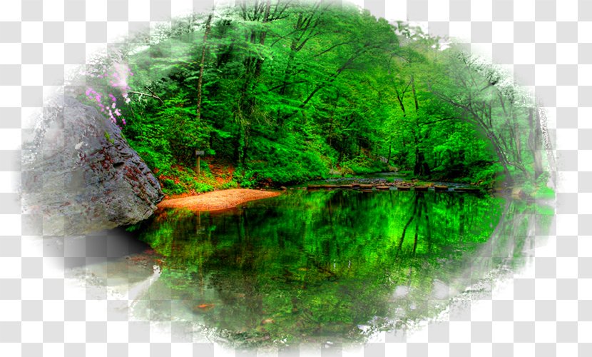 Desktop Wallpaper Water Resources Drawing Nature - Lake Transparent PNG