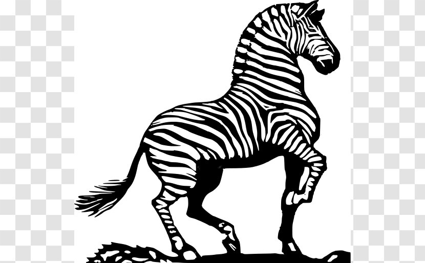 Zebra Horse Black And White Clip Art - Quagga - Bold Line Cliparts Transparent PNG
