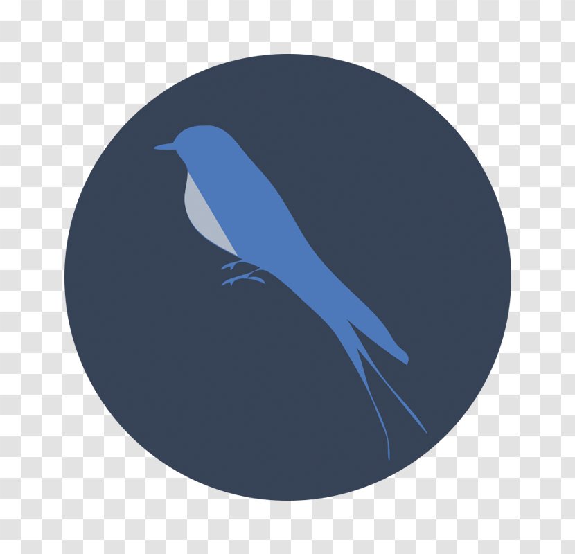 Cobalt Blue Beak - Bird Icon Transparent PNG