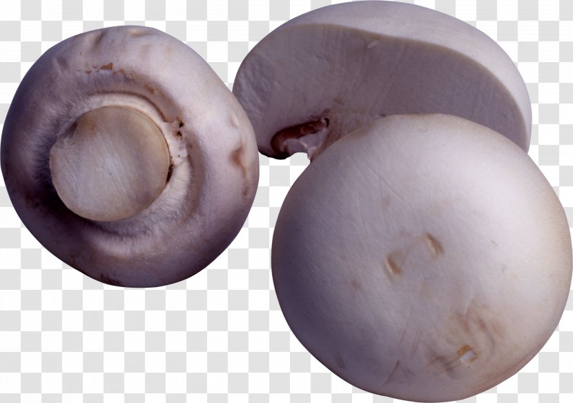 Calocybe Gambosa Common Mushroom Vegetable Fungus - Image Transparent PNG