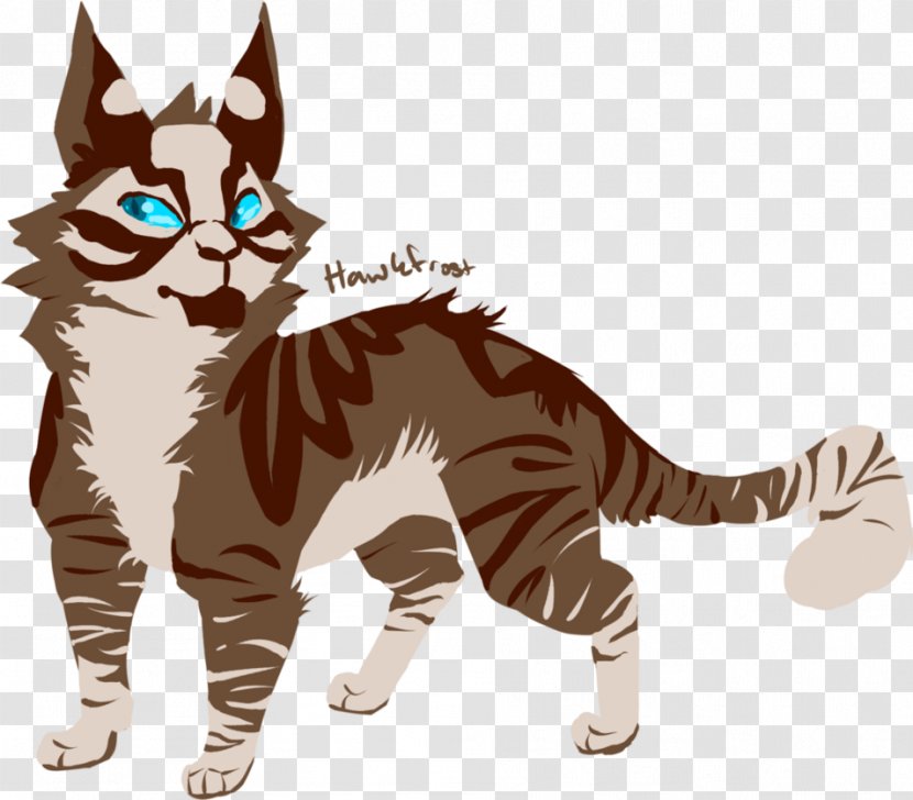 Whiskers American Wirehair Drawing DeviantArt - Art - Design Transparent PNG