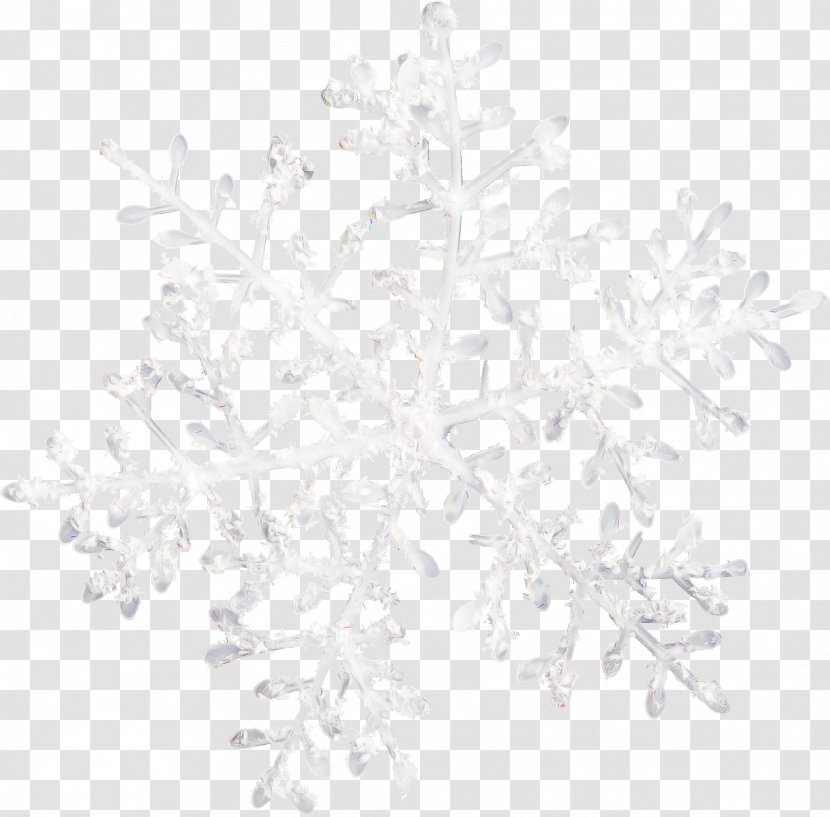 Snowflake Background - Branch - Plant Twig Transparent PNG