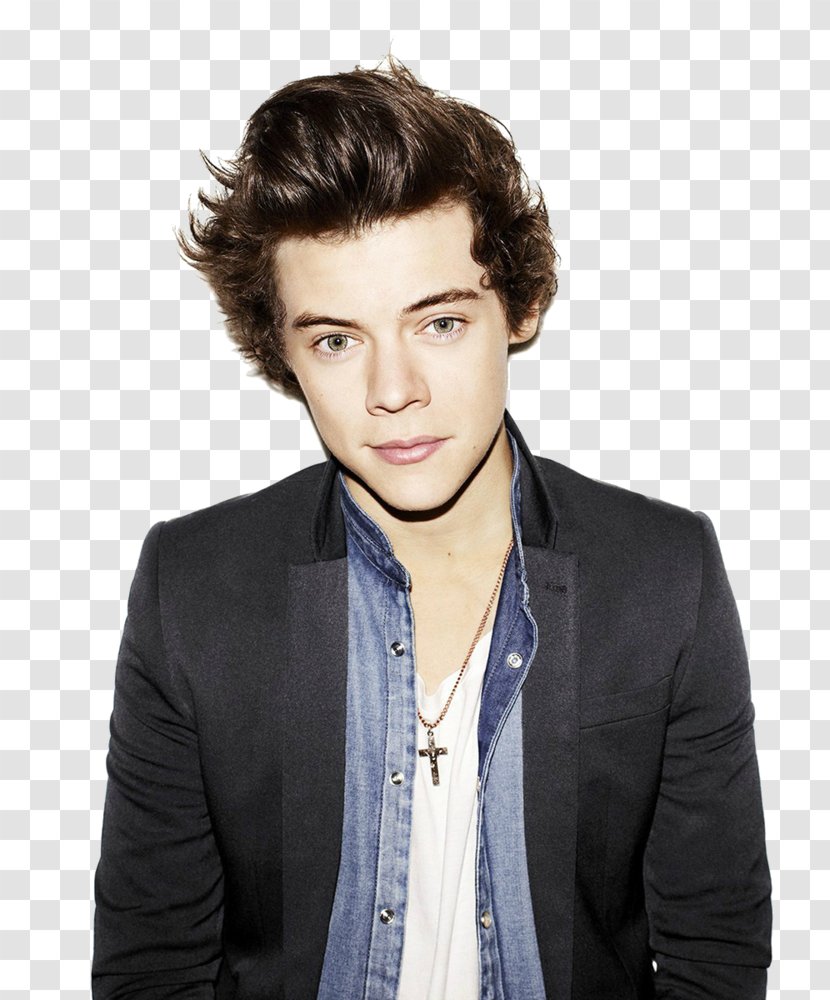 Harry Styles The X Factor Photography - Cartoon - Direction Transparent PNG