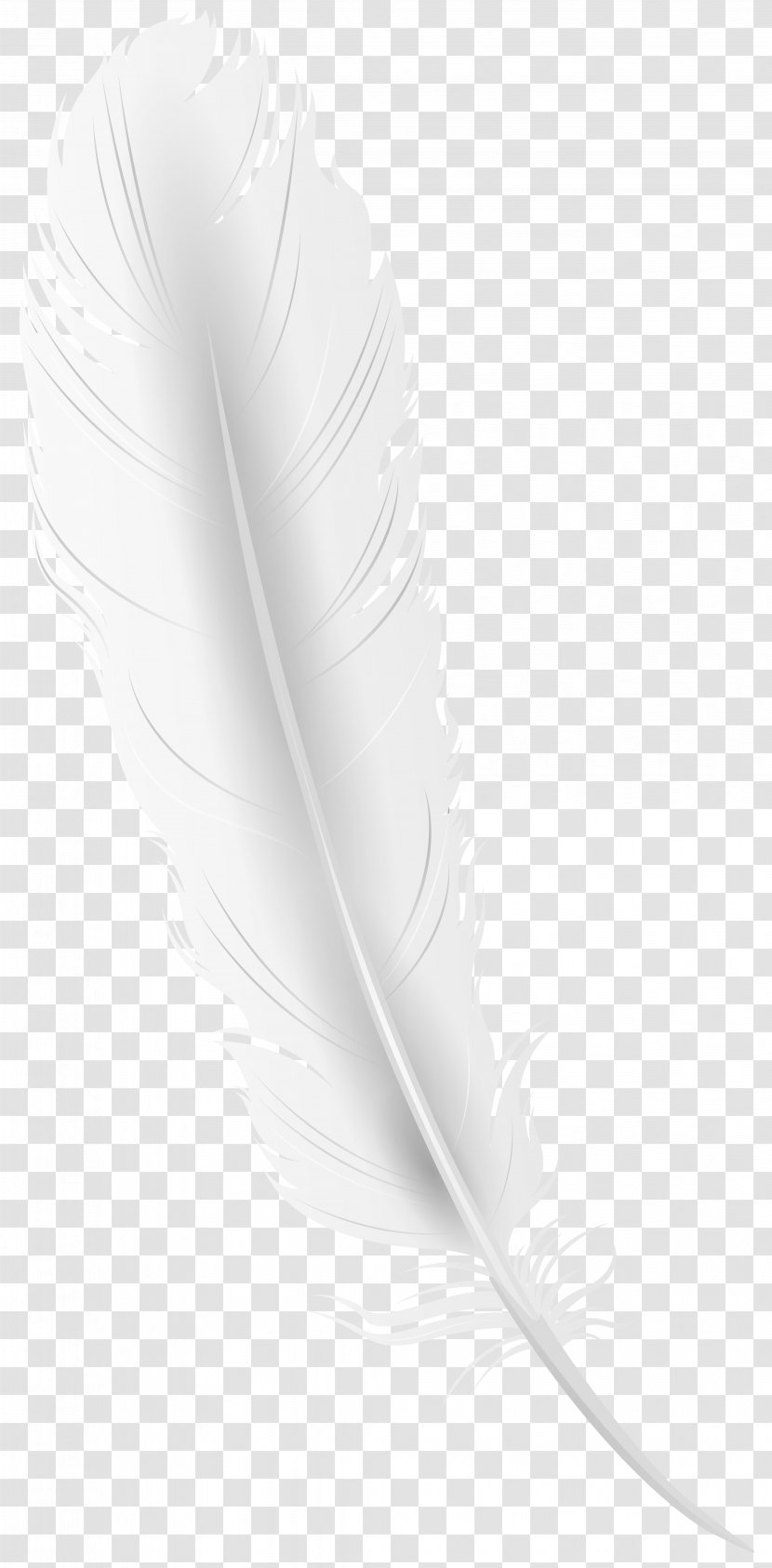 Feather Product Design Line - Wing Transparent PNG