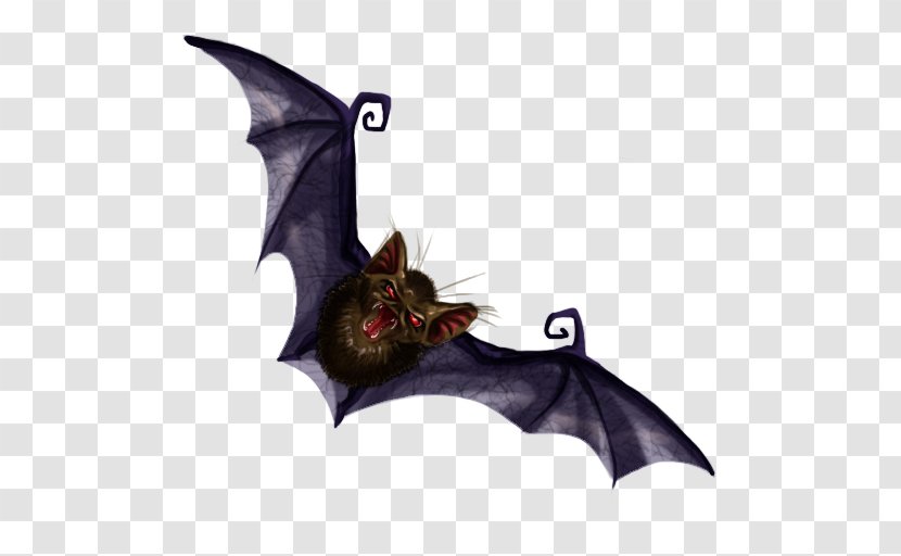 Vampire Bat Halloween - Wing Transparent PNG