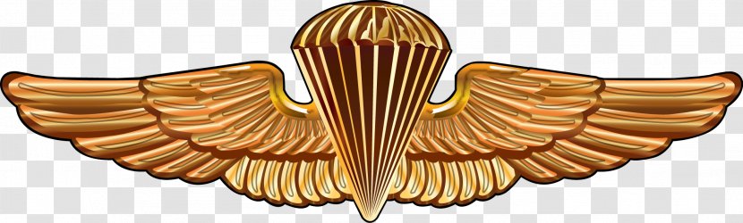 United States Army Airborne School Navy SEALs Parachutist Badge - Wing - Wings Transparent PNG