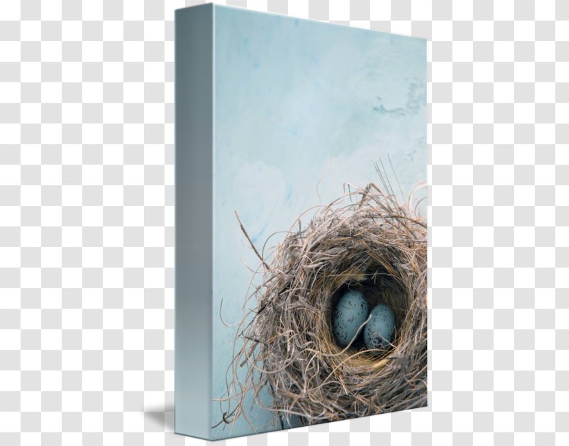 Bird Nest Stock Photography Royalty-free - Work Of Art - Eggs In Kind Transparent PNG