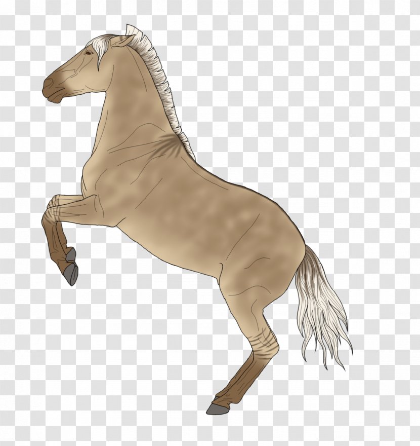 Mustang Stallion Mare Rein Quagga - Horse - Lannister Lion Transparent PNG
