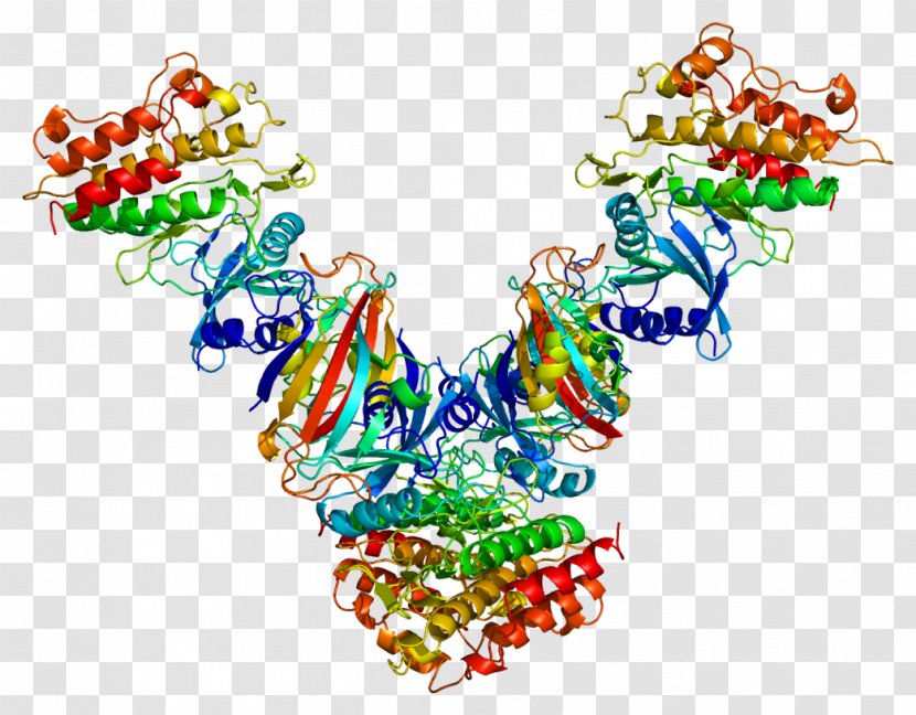 Transforming Growth Factor Beta TGF Receptor 1 - Protein Transparent PNG