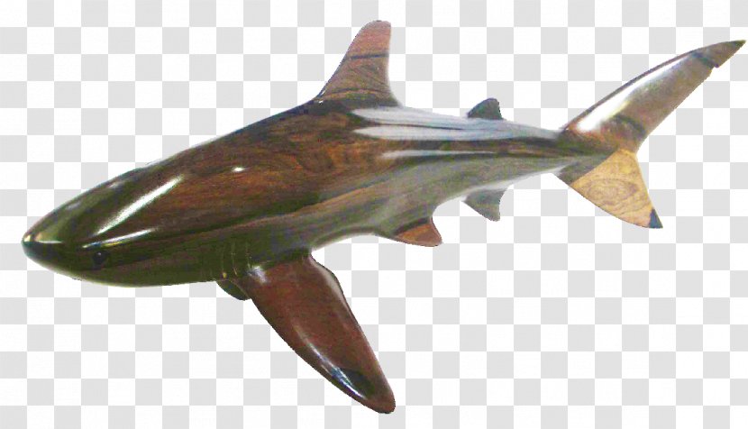 Whale Shark Bull Hammerhead Cetacea - Toucan Transparent PNG