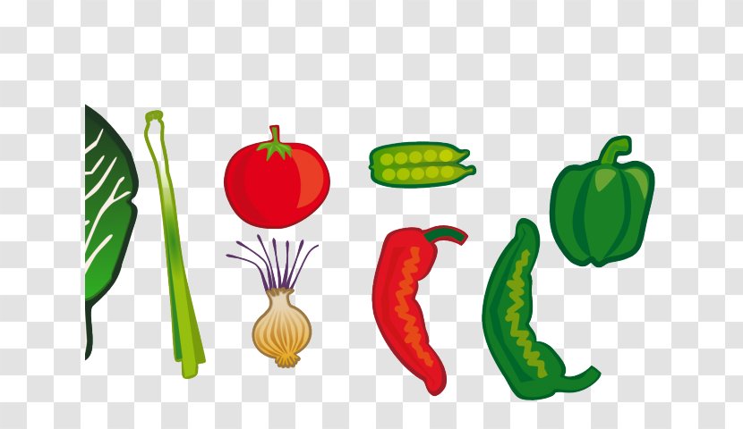 Vegetarian Cuisine Vegetable Clip Art Fruit - Plant - Vegetables Cartoon Hand Drawn Transparent PNG