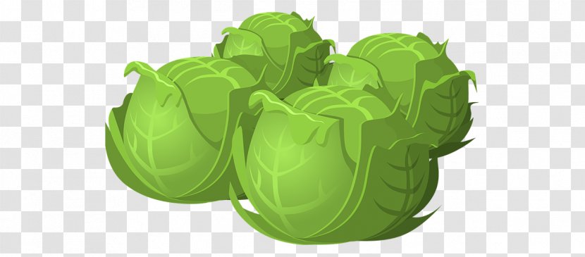 Cabbage Spring Greens Vegetable Clip Art - Plastic Transparent PNG