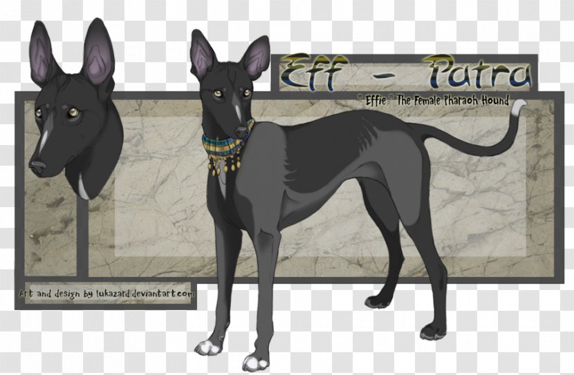 Italian Greyhound Pharaoh Hound Dog Breed Whippet - Egyptian Transparent PNG