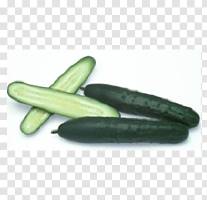 Pickled Cucumber Vegetable Fruit Baby Corn - Ambattur Transparent PNG