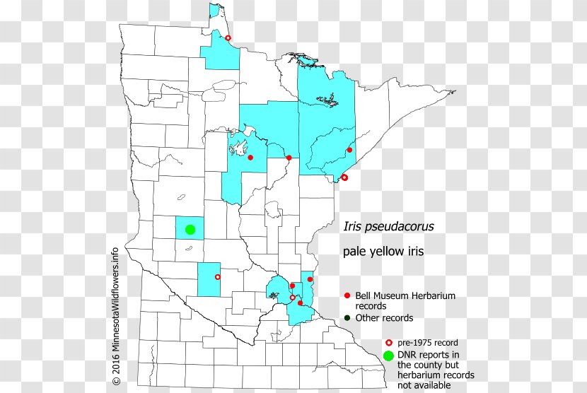 Map Line Land Lot Point Tuberculosis Transparent PNG