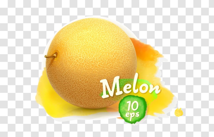 Royalty-free Stock Photography Fruit Illustration - Lemon Lime - Vector Melon Transparent PNG