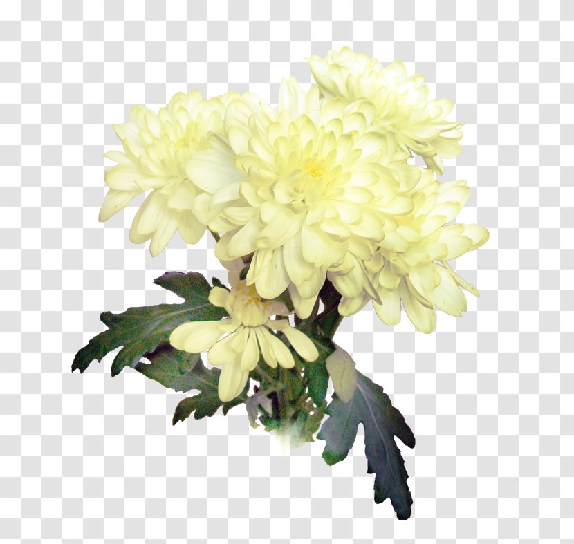 Chrysanthemum Floral Design Cut Flowers Dahlia - Flower Bouquet Transparent PNG