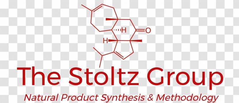 Manufacturing Natural Product Organic Chemistry SIDDHI VINAYAK ENGINEERING - Text - Nat Wolff Transparent PNG