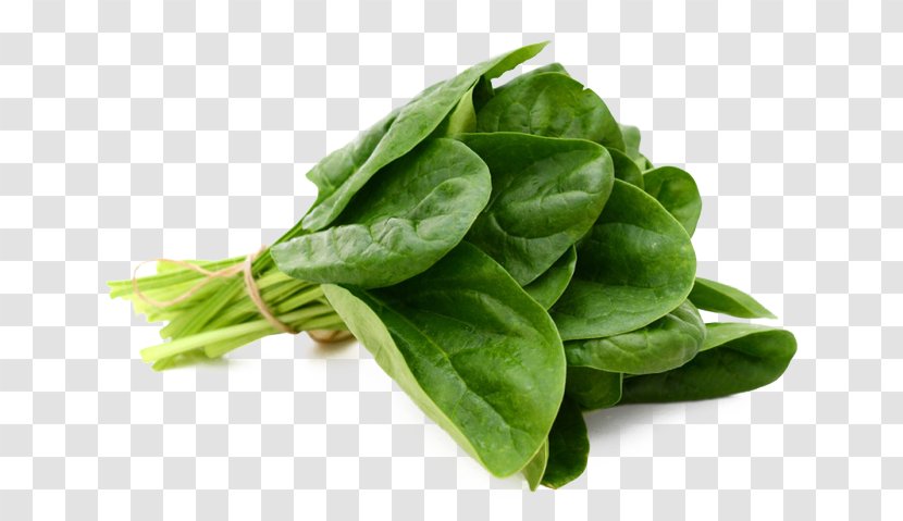 Spinach Leaf Vegetable Food - Herb - Espinaca Transparent PNG