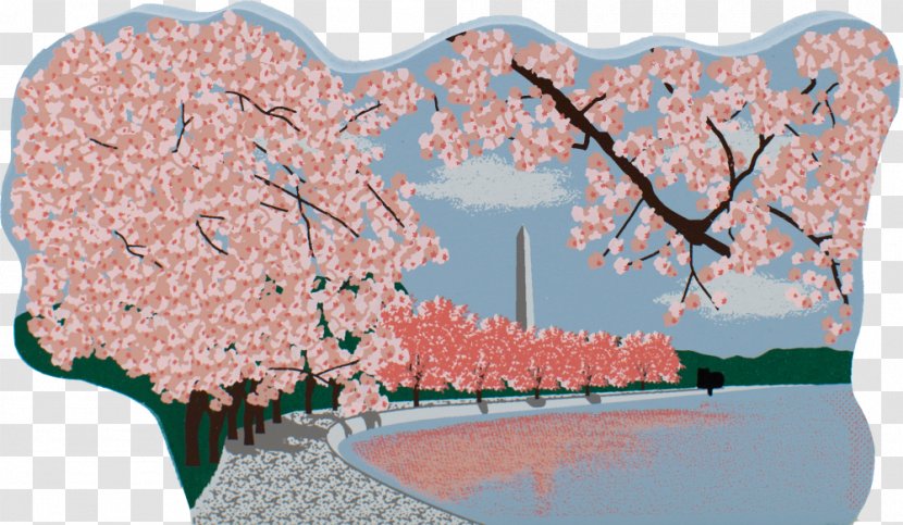 Cherry Blossom ST.AU.150 MIN.V.UNC.NR AD Pink M - Flower - Material Transparent PNG